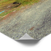 Quiet Man Bridge Poster (Hoek)