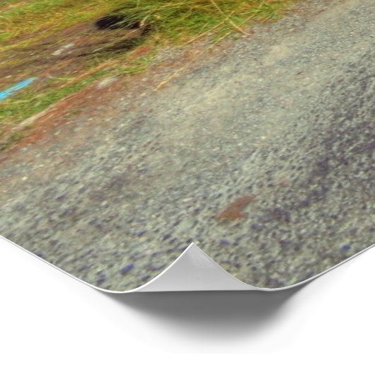 Quiet Man Bridge Poster (Hoek)