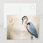 Quiet Marsh Heron | Blue Heron | Postcard Briefkaart (Voorkant / Achterkant)