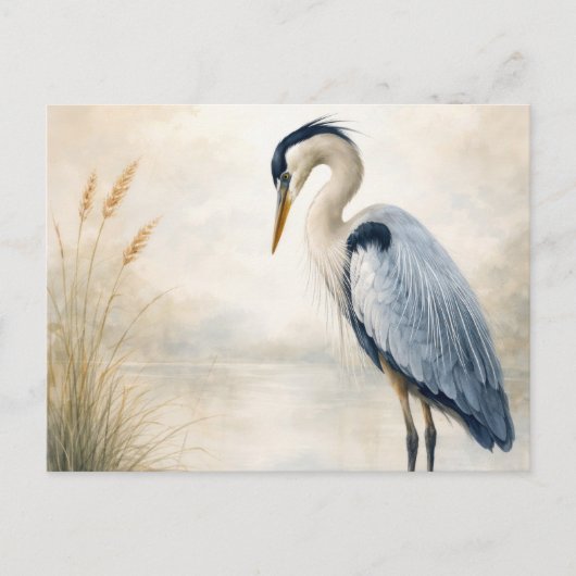 Quiet Marsh Heron | Blue Heron | Postcard Briefkaart (Voorkant)