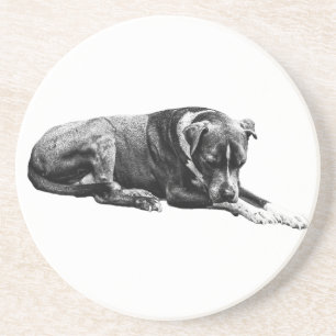 Quiet Paws Onderzetter Set