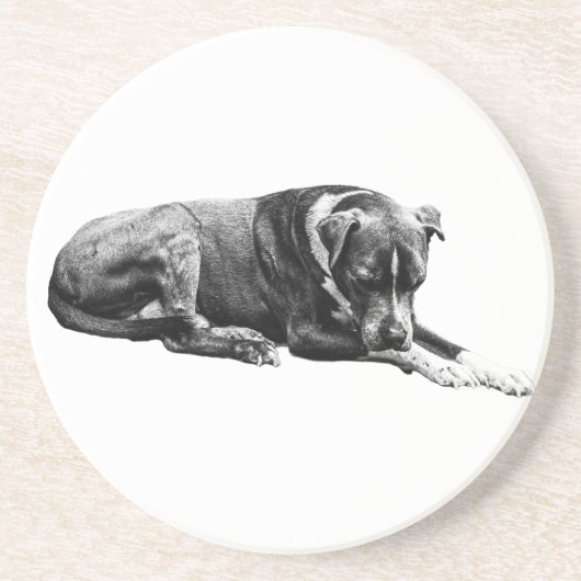 Quiet Paws Onderzetter Set (Voorkant)
