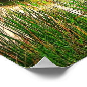 Quiet Stream-Poster Poster (Hoek)