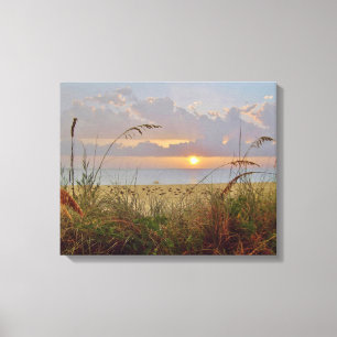 Quiet Sunset Canvas Afdruk