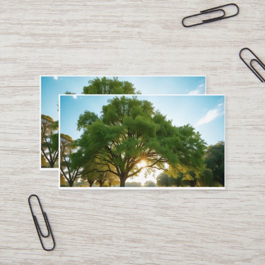 Quiet Time With a Big Tree  Visitekaartje (Voorkant / Achterkant in situ)