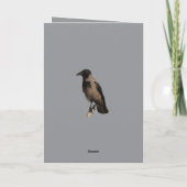 Quiet Watcher The Hooded Crow Kaart (Achterkant)