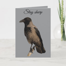 Quiet Watcher The Hooded Crow Kaart