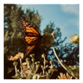 Quiet Wings Perfect Poster (Voorkant)