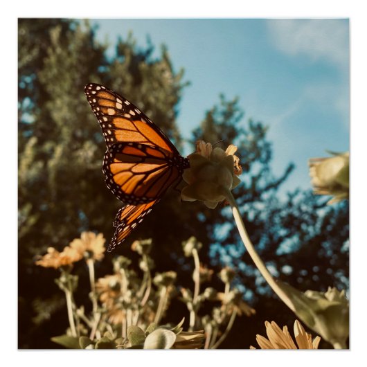 Quiet Wings Perfect Poster (Voorkant)