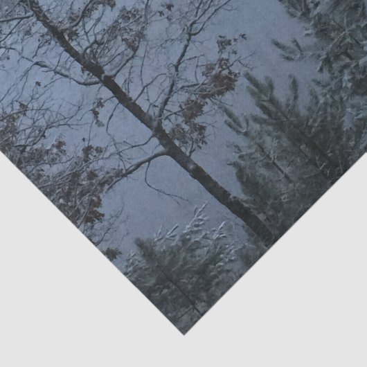 Quiet Winter Lake Tissuepapier (Detail)