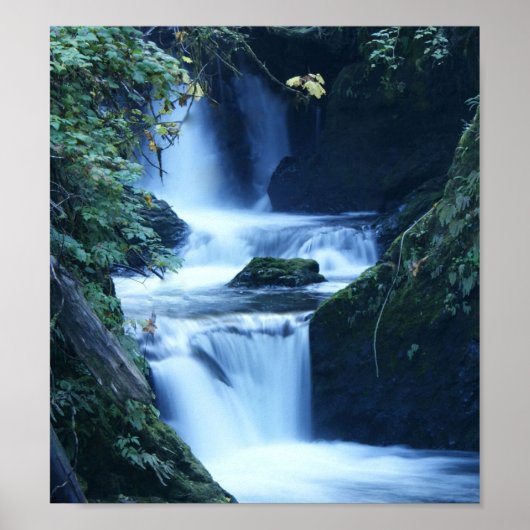 Quinalt Waterfall Canvas afdrukken Poster (Voorkant)
