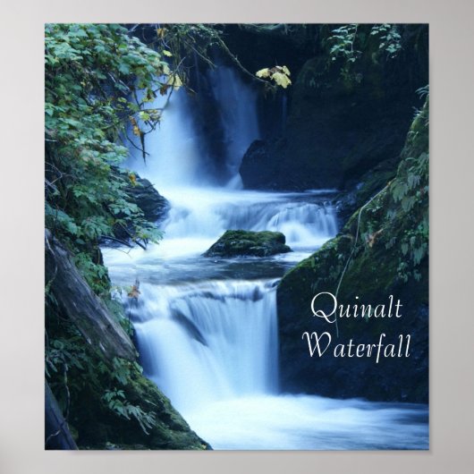 Quinalt Waterfall Poster (Voorkant)