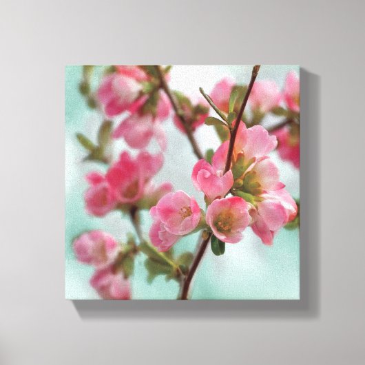 Quince Blossom Canvas Afdruk (Voorkant)