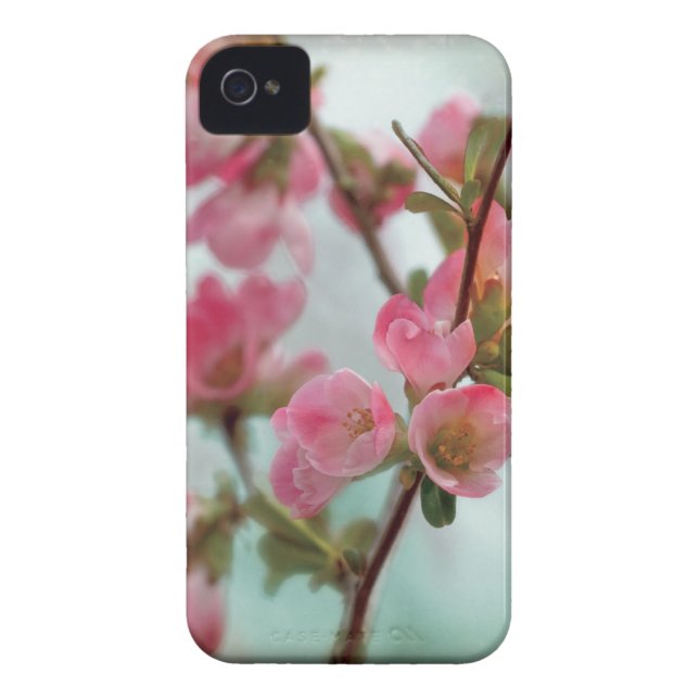 Quince Blossom Case-Mate iPhone Case (Achterkant)