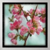 Quince Blossom Poster (Voorkant)