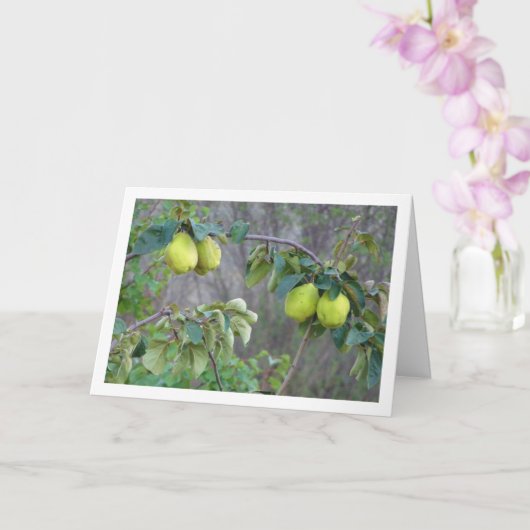 Quince Fruit Card Kaart (Orchidee)