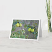 Quince Fruit Card Kaart (Voorkant)