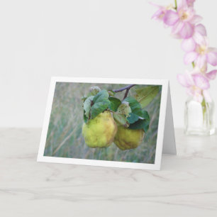 Quince Fruit Card Kaart