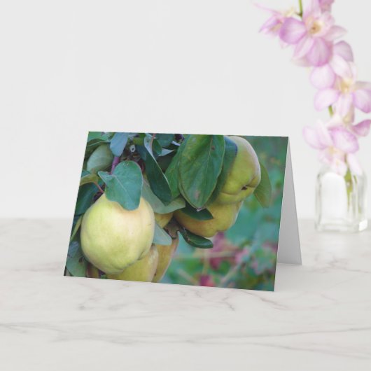 Quince Fruit Card Kaart (Orchidee)