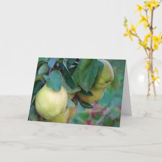 Quince Fruit Card Kaart (Gele Bloem)