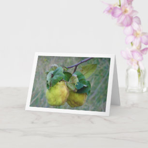 Quince Fruit Kaart