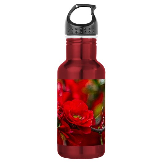Quince Tak Painterlijke Rvs Waterfles (Voorkant)