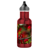 Quince Tak Painterlijke Rvs Waterfles (Rechts)