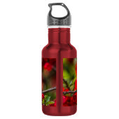 Quince Tak Painterlijke Rvs Waterfles (Achterkant)