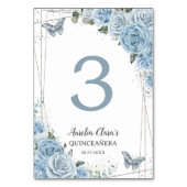Quinceañera Baby Blue Floral Silver Butterflies Kaart (Achterkant)