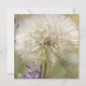 Quinceanera Birthday Mass Dandelion Kaart (Achterkant)