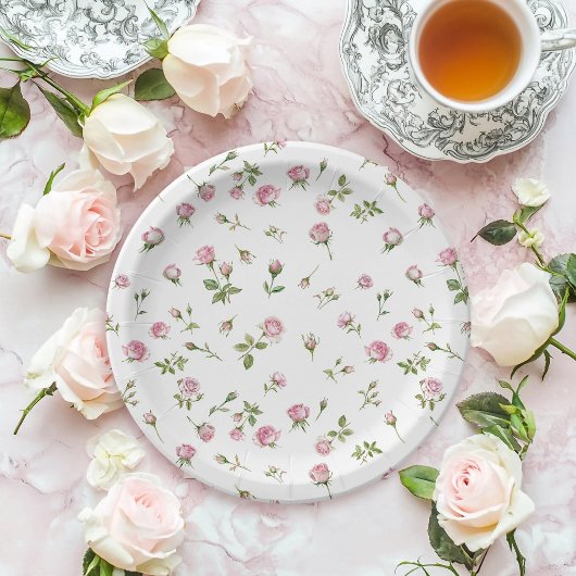 Quinceanera Blush Pink Rose Verjaardag Papieren Bordje