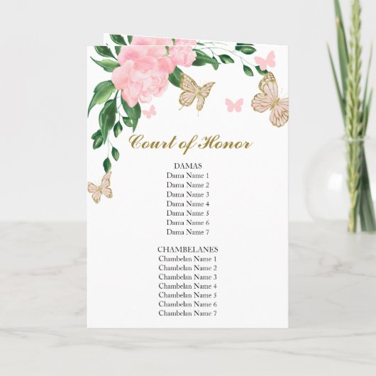 Quinceanera Butterflys Roze Blush Gown Programma's (Achterkant)