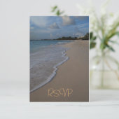 Quinceanera RSVP Guest ReAntwoord (Staand voorkant)