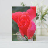 Quinceanera RSVP Red Rose (Staand voorkant)