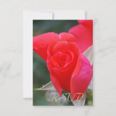 Quinceanera RSVP Red Rose Kaartje (Voorkant)