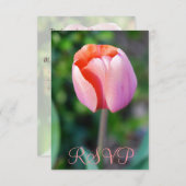 Quinceanera RSVP Roze Tulip 15th Birthday (Voorkant / Achterkant)