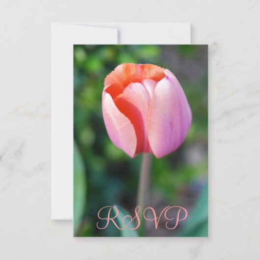 Quinceanera RSVP Roze Tulip 15th Birthday Kaartje (Voorkant)