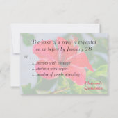 Quinceanera RSVP  roze ventilator Kaartje (Achterkant)