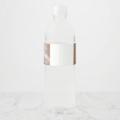 Quinceanera script foto 15e verjaardag waterfles etiket (Achterkant)