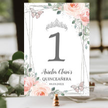 Quinceañera Verjaardag Blush Roze Bloemen Vlinders