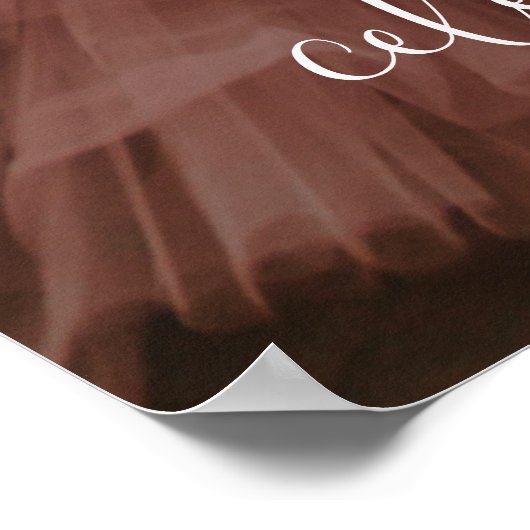 Quinceañera Welkom Script & Foto 15e verjaardag Poster (Hoek)