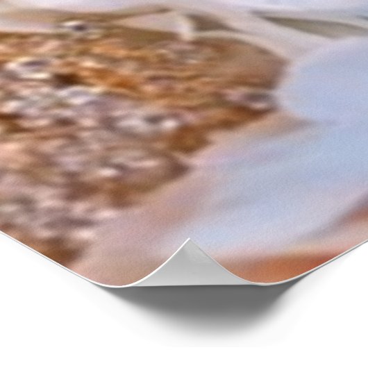 Quinceanera Welkom script foto 15e verjaardag Poster (Hoek)