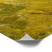 Quinces Lemons Pears Grapes van Van Gogh Poster (Hoek)