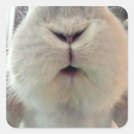 Quincy Kisses Vierkante Sticker (Voorkant)