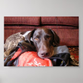 Quincy Poster (Voorkant)