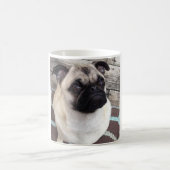 Quinnie Pug Mok (Center)