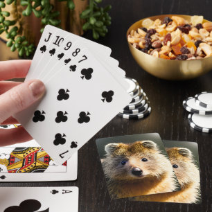 Quintin de Ginger Quokka, deck speelkaartjes Pokerkaarten