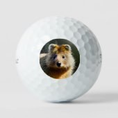 Quintin The Ginger Quokka, Golf Balls Golfballen (Voorkant)