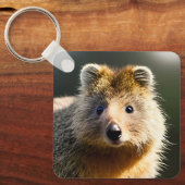 Quintin the Ginger Quokka, Keyring Sleutelhanger (Voorkant)