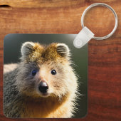 Quintin the Ginger Quokka, Keyring Sleutelhanger (Achterkant)